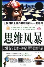 思维风暴 超值白金版
