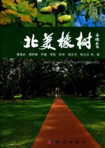 北美橡树