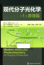 现代分子光化学 1 原理篇