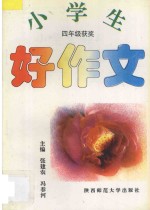小学生好作文·四年级