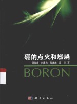 硼的点火和燃烧