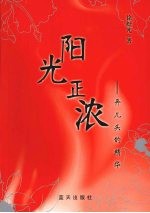 阳光正浓:奔儿头的精华