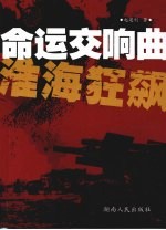 命运交响曲·淮海狂飙