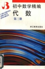 初中数学精编 代数