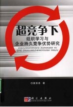 超竞争下组织学习与企业持久竞争优势研究