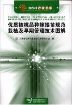 优质核桃品种嫁接苗规范栽植及早期管理技术图解