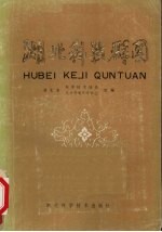 湖北科技群团