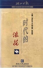 时代的浪花