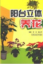 阳台立体养花
