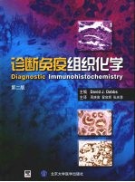 诊断免疫组织化学 第2版