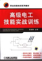 高级电工技能实战训练