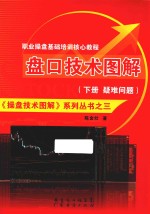 盘口技术图解 下 疑难问题