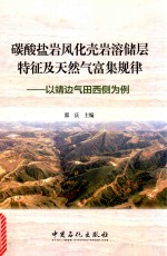 碳酸盐岩风化壳岩溶储层特征及天然气富集规律 以靖边气田西侧为例