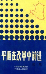 平顺在改革中前进 续集