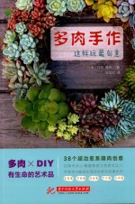 多肉手作,这样玩最创意!