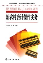 农村干部教育·农村经济综合管理系列图书 新农村会计操作实务