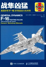 战隼凶猛 美国空军F-16多用途战斗机传奇
