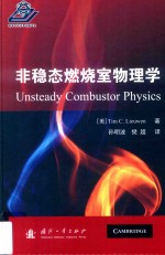 非稳态燃烧室物理学