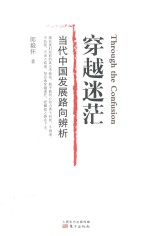穿越迷茫 当代中国发展路向辨析