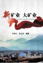 新矿业 大矿业