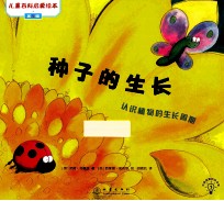 种子的生长 认识植物的生长周期