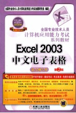 Excel 2003中文电子表格 第2版