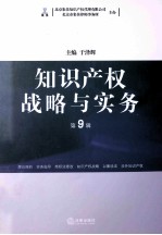 知识产权战略与实务 第九辑