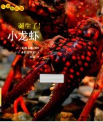 诞生了!小龙虾