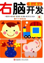 右脑开发 5-6岁