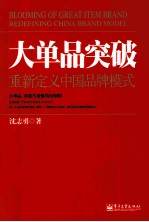 大单品突破 重新定义中国品牌模式