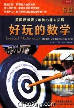 好玩的数学 5级 英文