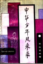 中华少年风采录 文化艺术卷