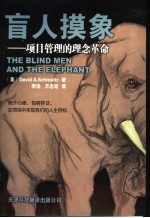 盲人摸象 项目管理的理念革命