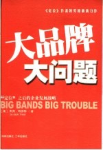 大品牌 大问题