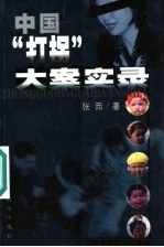 中国“打拐”大案实录