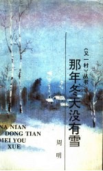 那年冬天没有雪