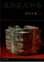 文物鉴定秘要 图录
