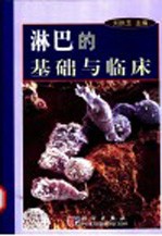 淋巴的基础与临床
