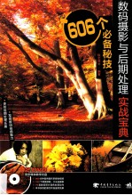 数码摄影与后期处理实战宝典 606个必备秘技