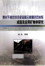 贵州下寒武统含多金属元素黑色页岩系成因及应用矿物学研究
