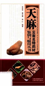 云南名特药材鉴别与服用丛书 天麻