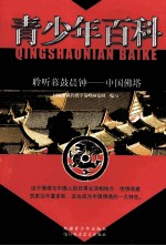 青少年百科 聆听暮鼓晨钟 中国佛塔
