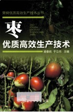 枣优质高效生产技术