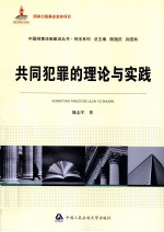 共同犯罪的理论与实践