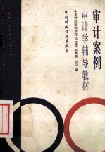 审计案例 审计学辅导教材