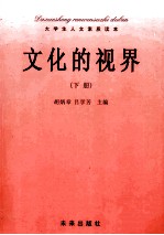 文化的视界 下