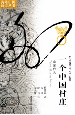 一个中国村庄 山东台头