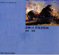 袁帅15岁风景绘画 油画 素描