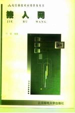 接入网