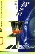 智能网